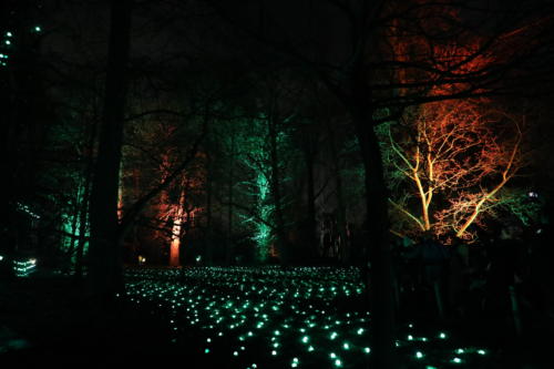 Lichter-Meer