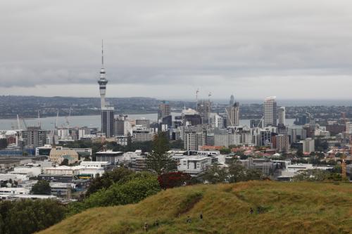 Blick vom Mount Eden